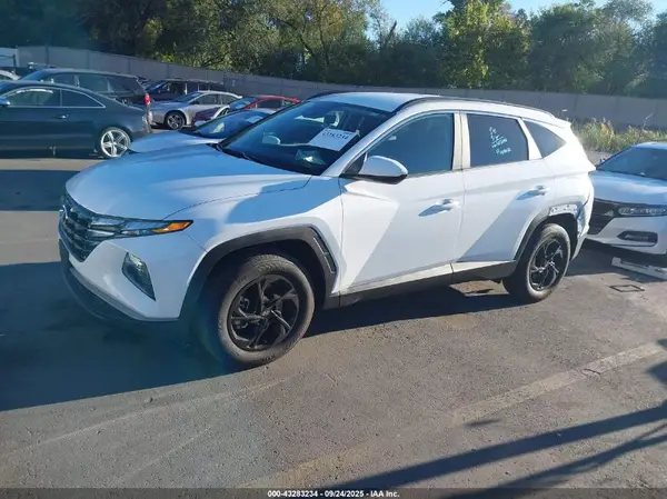 5NMJBCDE5RH324404 2024 HYUNDAI TUCSON - Image 2