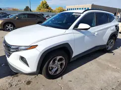 5NMJBCDE5RH341333 2024 HYUNDAI TUCSON