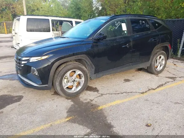 5NMJBCDE5RH349447 2024 HYUNDAI TUCSON - Image 2
