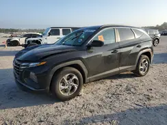 5NMJBCDE5RH383372 2024 HYUNDAI TUCSON