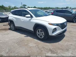 5NMJBCDE5RH393254 2024 HYUNDAI TUCSON