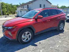 5NMJBCDE5RH407282 2024 HYUNDAI TUCSON