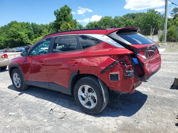 5NMJBCDE5RH407282 2024 HYUNDAI TUCSON - Image 2