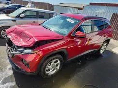 5NMJBCDE5RH409663 2024 HYUNDAI TUCSON