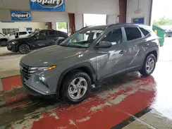 5NMJBCDE5RH411557 2024 HYUNDAI TUCSON