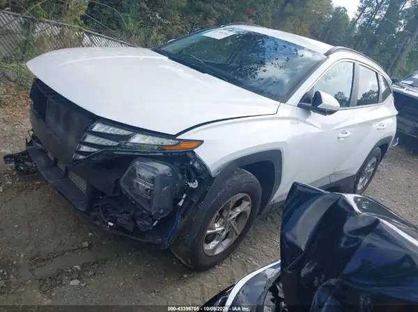 5NMJBCDE6RH300239 2024 HYUNDAI TUCSON - Image 2