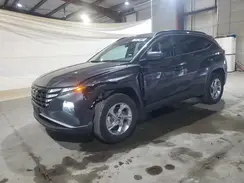 5NMJBCDE6RH317767 2024 HYUNDAI TUCSON