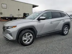 5NMJBCDE6RH344659 2024 HYUNDAI TUCSON