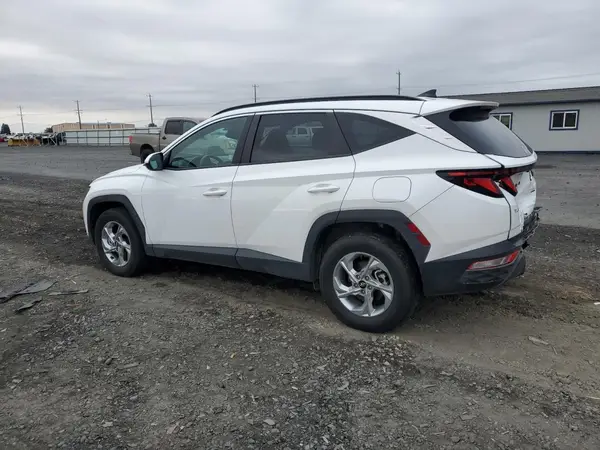 5NMJBCDE6RH398155 2024 HYUNDAI TUCSON - Image 2