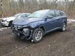 5NMJBCDE6SH497905 2025 HYUNDAI TUCSON