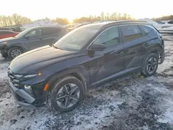 5NMJBCDE6SH597504 2025 HYUNDAI TUCSON