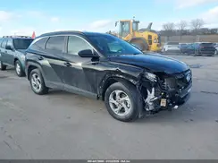 5NMJBCDE7RH344735 2024 HYUNDAI TUCSON