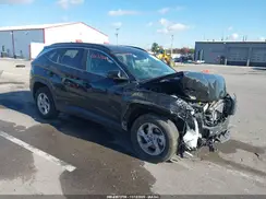 5NMJBCDE7RH409406 2024 HYUNDAI TUCSON