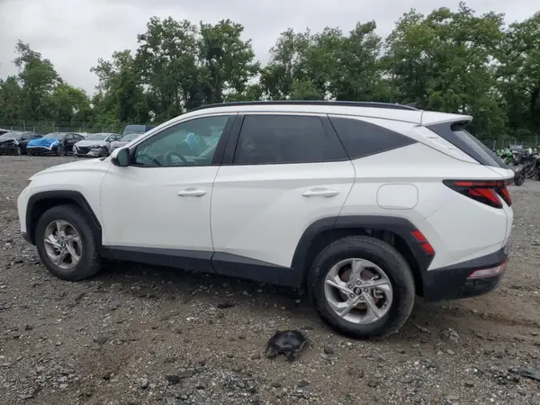 5NMJBCDE8RH299210 2024 HYUNDAI TUCSON - Image 2