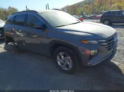 5NMJBCDE8RH354819 2024 HYUNDAI TUCSON