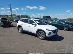5NMJBCDE9RH299202 2024 HYUNDAI TUCSON