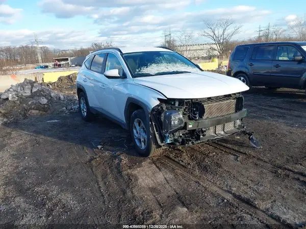 5NMJBCDE9RH303927 2024 HYUNDAI TUCSON - Image 1
