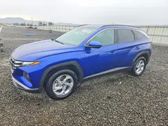 5NMJBCDE9RH318038 2024 HYUNDAI TUCSON