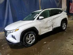 5NMJBCDE9RH337091 2024 HYUNDAI TUCSON