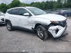 5NMJBCDE9RH378224 2024 HYUNDAI TUCSON
