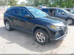 5NMJBCDEXRH303502 2024 HYUNDAI TUCSON