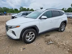 5NMJBCDEXRH350724 2024 HYUNDAI TUCSON