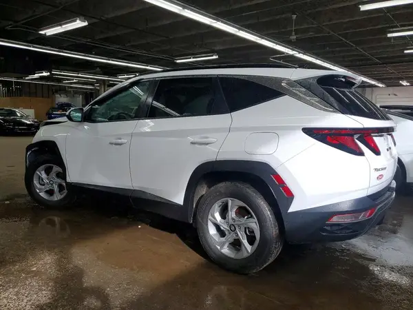 5NMJBCDEXRH354773 2024 HYUNDAI TUCSON - Image 2