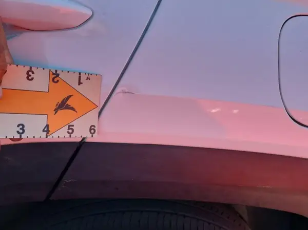 5NMJBCDEXRH384825 2024 HYUNDAI TUCSON - Image 2