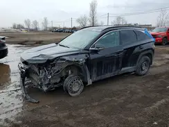 5NMJCCDE0SH557819 2025 HYUNDAI TUCSON