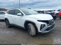 5NMJCCDE0SH562289 2025 HYUNDAI TUCSON