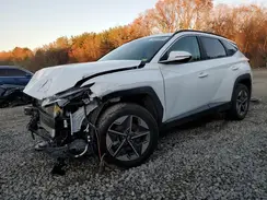 5NMJCCDE4SH495227 2025 HYUNDAI TUCSON