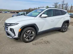 5NMJCCDE8SH590552 2025 HYUNDAI TUCSON