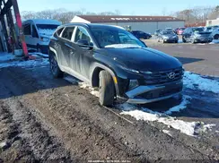 5NMJCCDE9SH460036 2025 HYUNDAI TUCSON