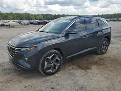 5NMJE3AE9PH170613 2023 HYUNDAI TUCSON