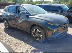5NMJE3DE0RH348116 2024 HYUNDAI TUCSON