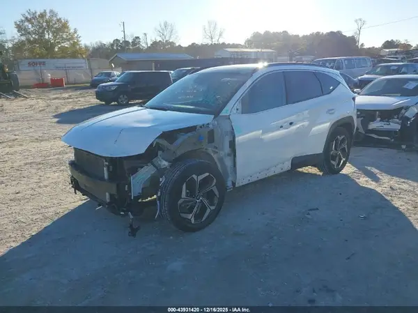 5NMJE3DE2RH329597 2024 HYUNDAI TUCSON - Image 2