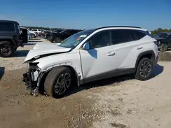 5NMJE3DE6SH536029 2025 HYUNDAI TUCSON