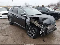 5NMJE3DE7RH365222 2024 HYUNDAI TUCSON