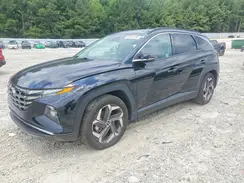 5NMJE3DE9RH436176 2024 HYUNDAI TUCSON
