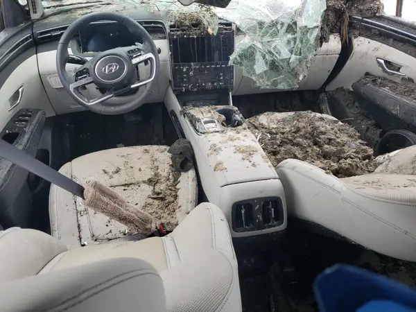 5NMJE3DE9RH440132 2024 HYUNDAI TUCSON - Image 8