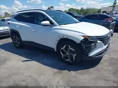 5NMJECAE2PH202186 2023 HYUNDAI TUCSON