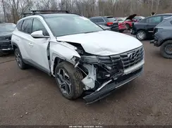 5NMJECAE3PH178108 2023 HYUNDAI TUCSON