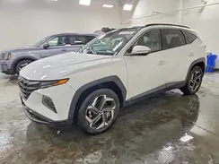 5NMJECAE3PH189545 2023 HYUNDAI TUCSON