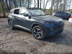 5NMJECAE4PH192308 2023 HYUNDAI TUCSON
