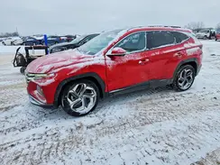 5NMJECAE5PH168261 2023 HYUNDAI TUCSON