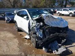 5NMJECAE5PH176411 2023 HYUNDAI TUCSON