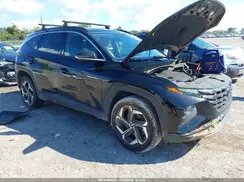 5NMJECAE5PH185917 2023 HYUNDAI TUCSON