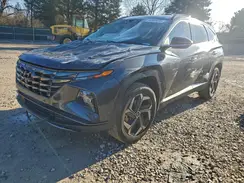 5NMJECAE8PH227058 2023 HYUNDAI TUCSON