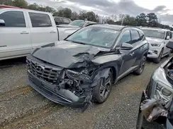 5NMJECAE8PH236066 2023 HYUNDAI TUCSON