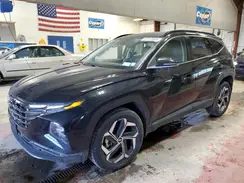 5NMJECAE8PH279130 2023 HYUNDAI TUCSON